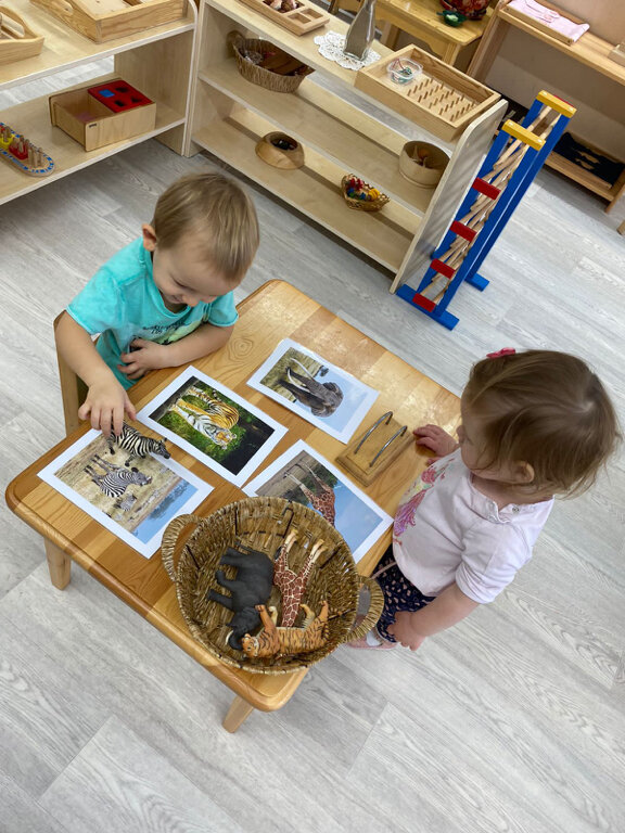 Kindergarten, nursery Дивнолесье, Chernogolovka, photo