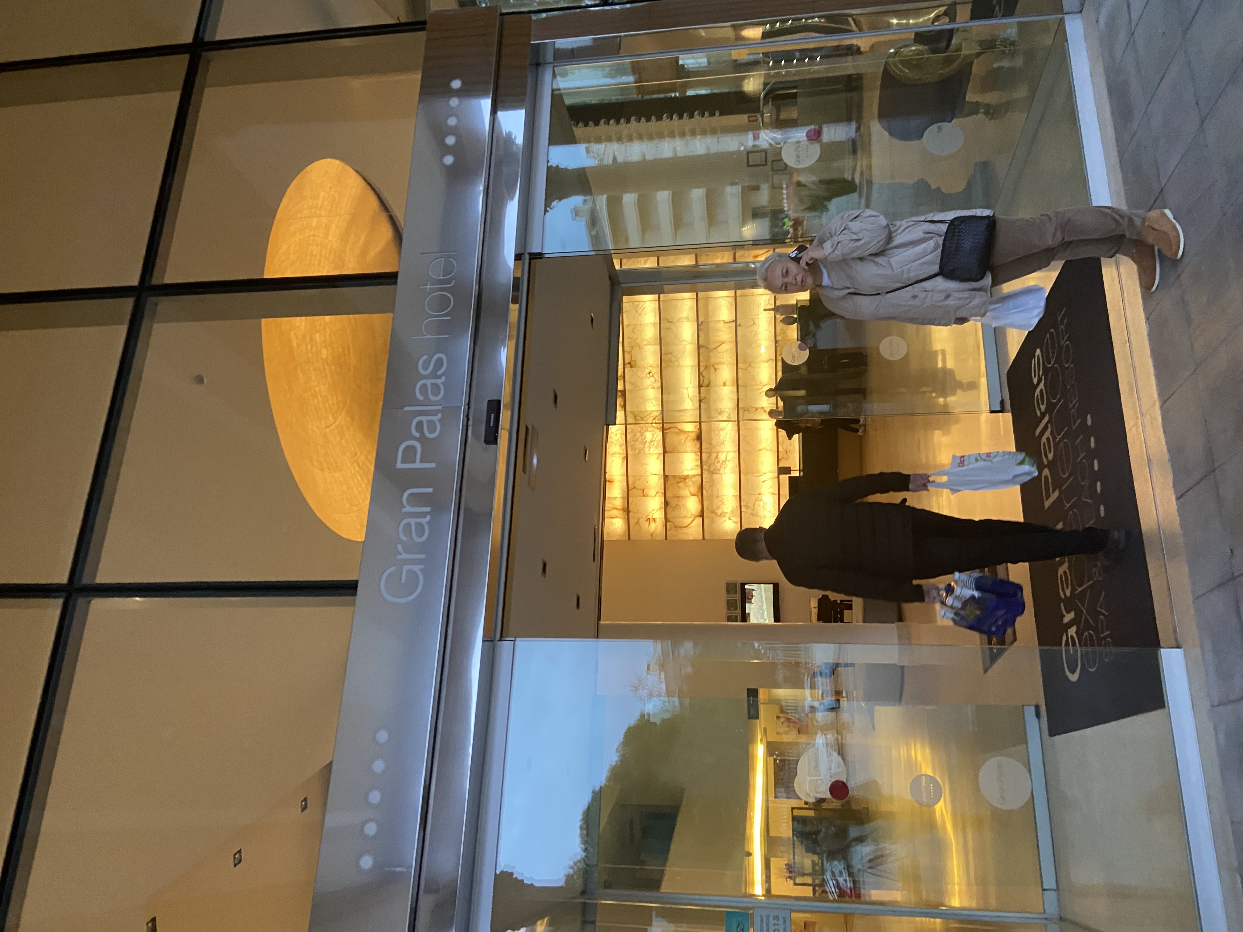 Фото Hotel Gran Palas Experience