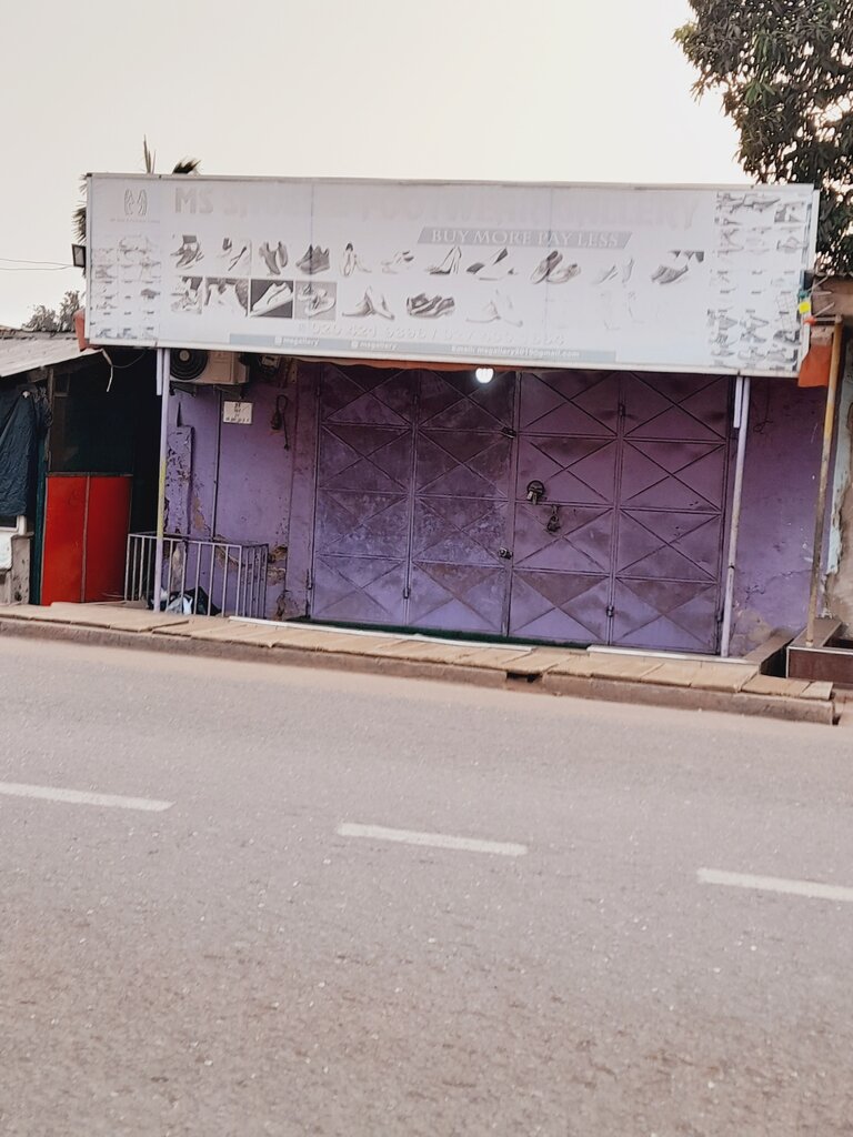 Shoe store MS, Earth, photo