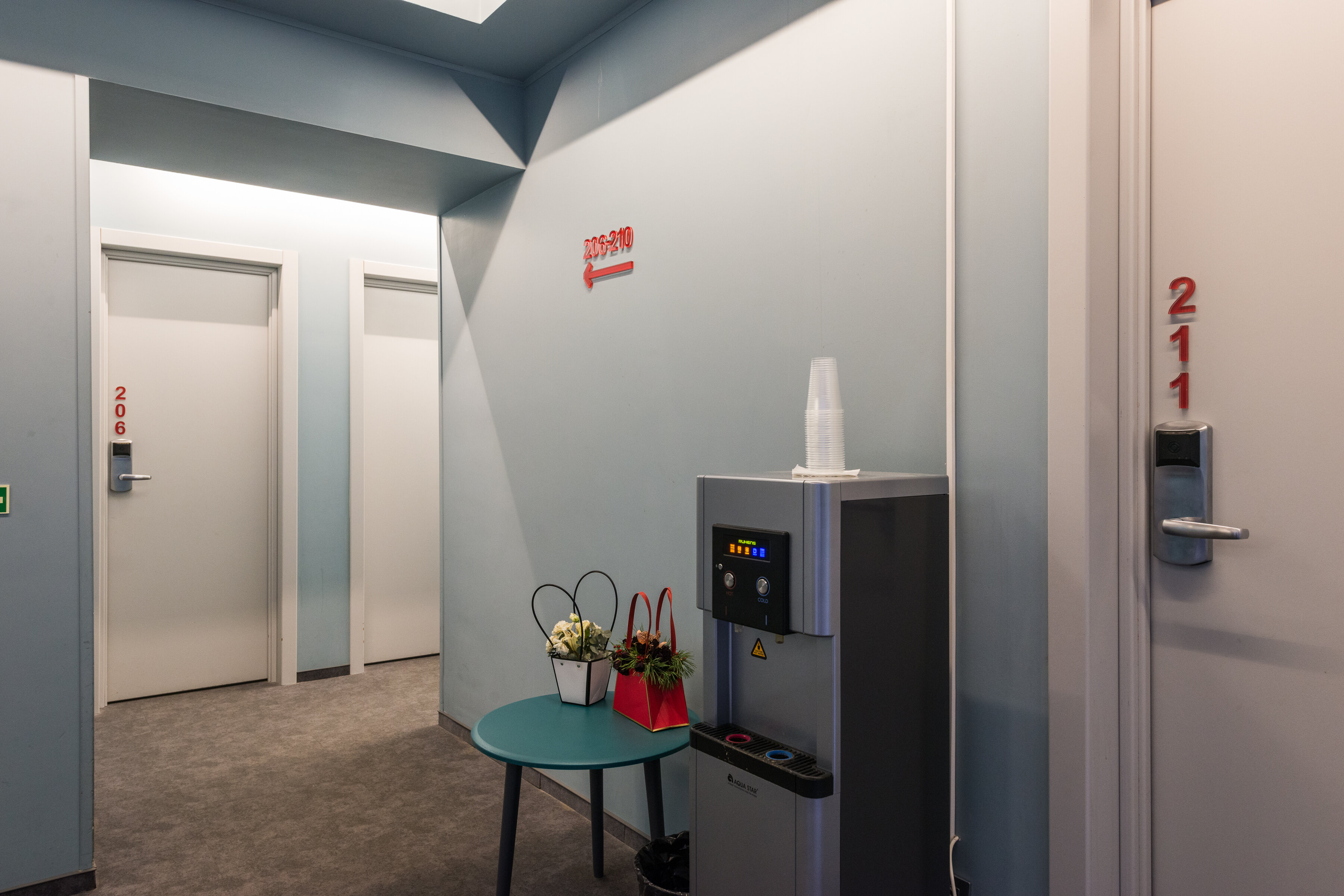 Фото Веллион Павелецкий