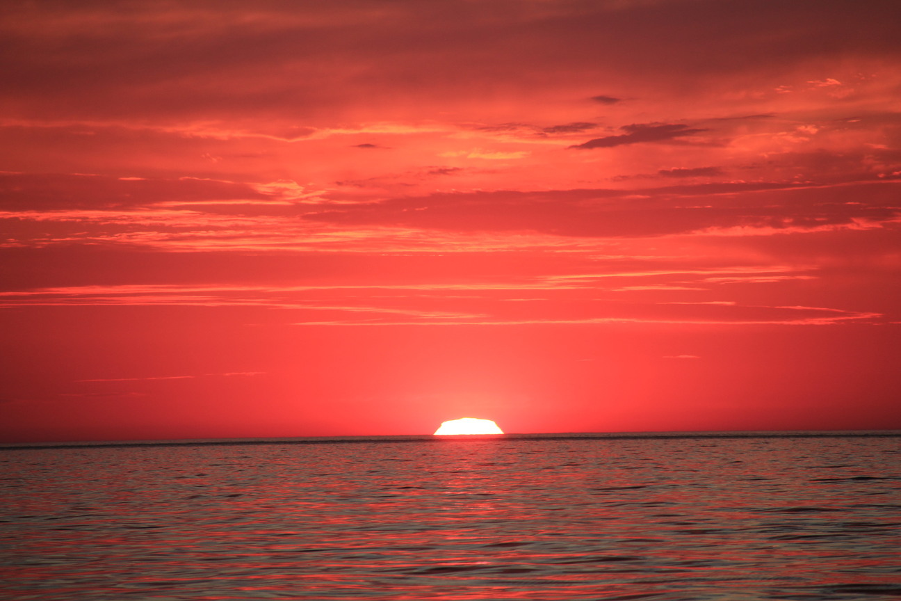 Фото Дикий берег