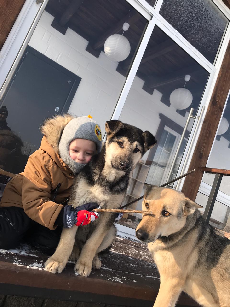 Фото Бабушкина дача