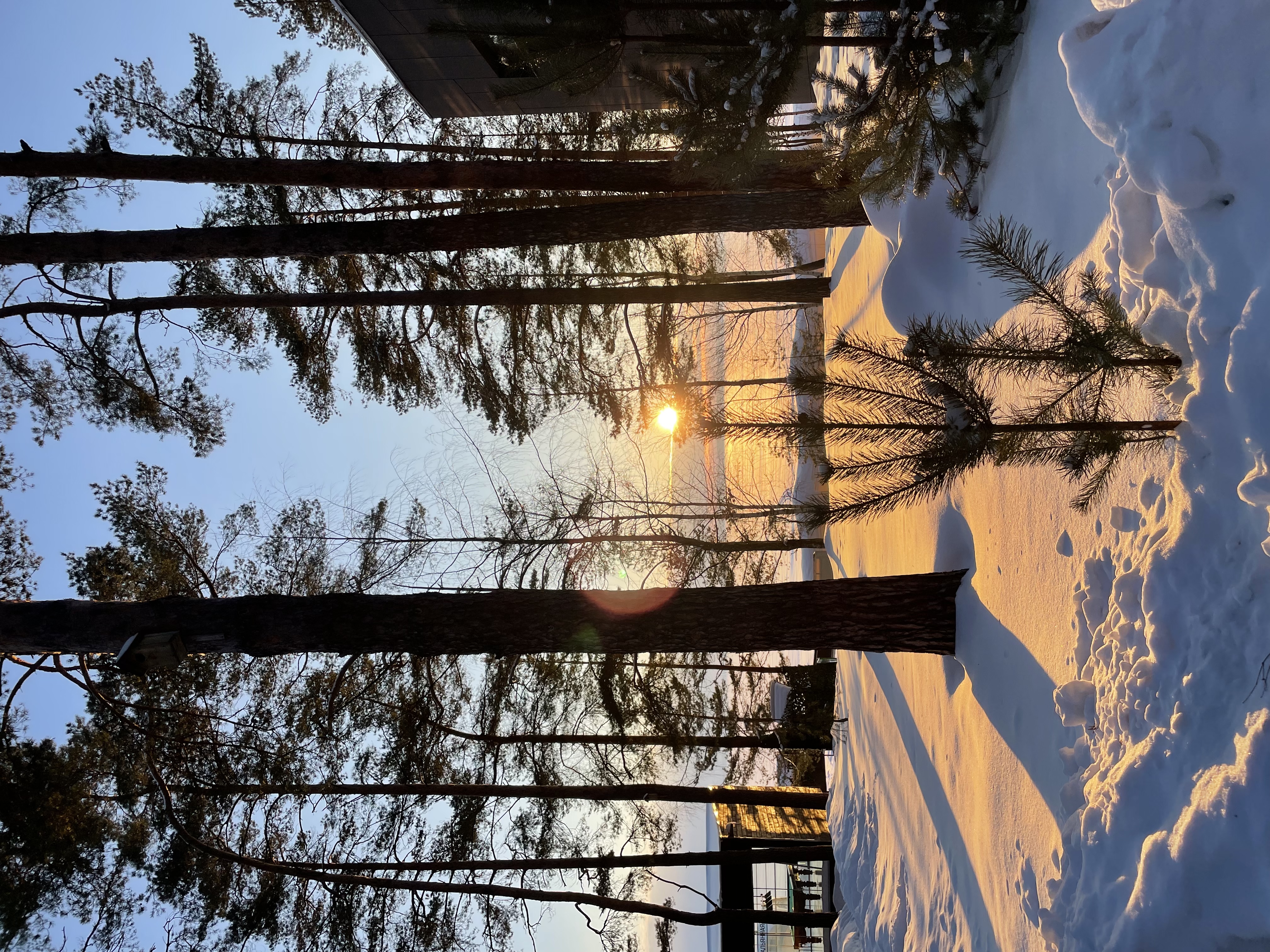 Фото Изумрудное