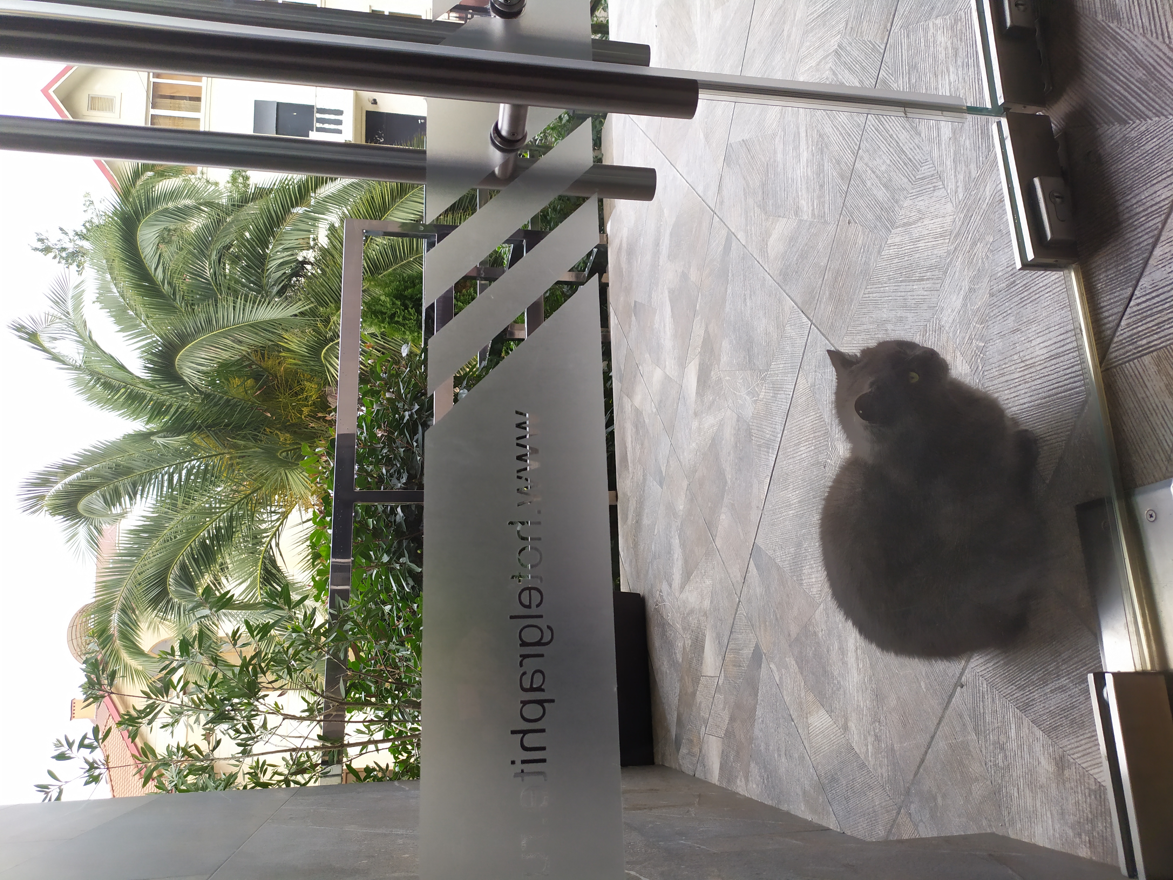 Фото Графит