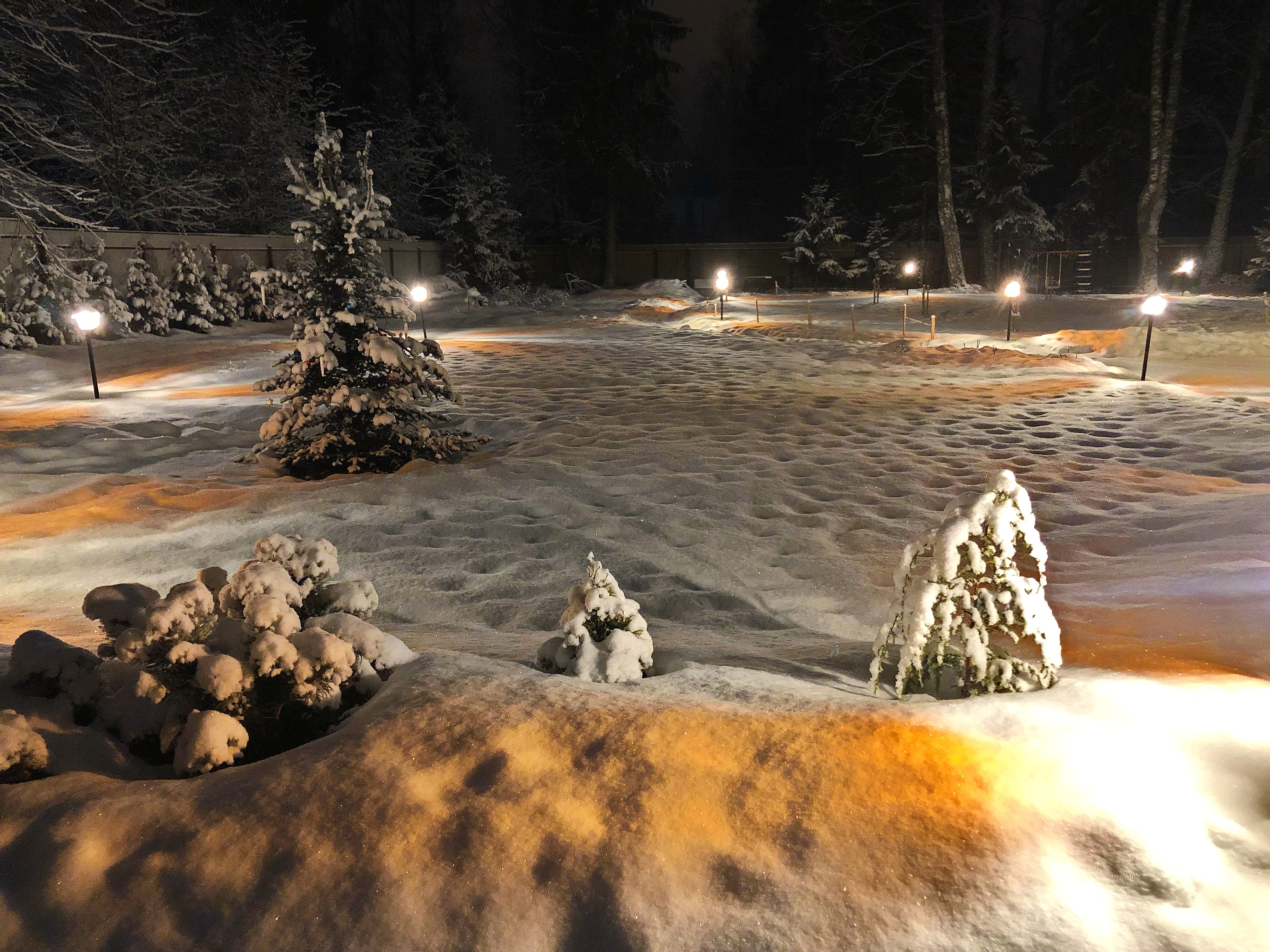 Фото Вырицкий мамонт