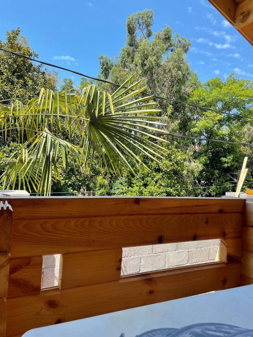 Фото Наши любимые