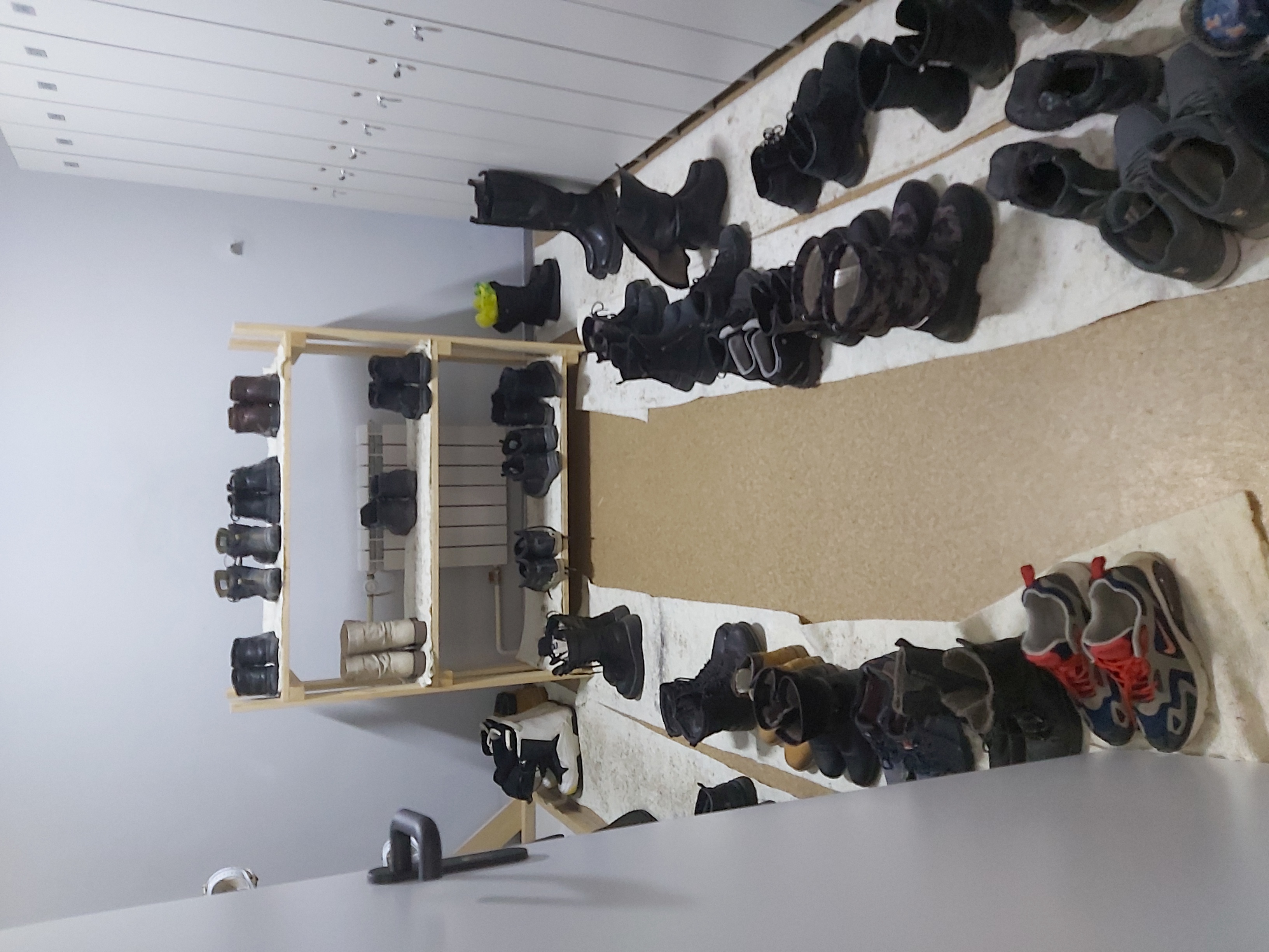 Фото Овсянка