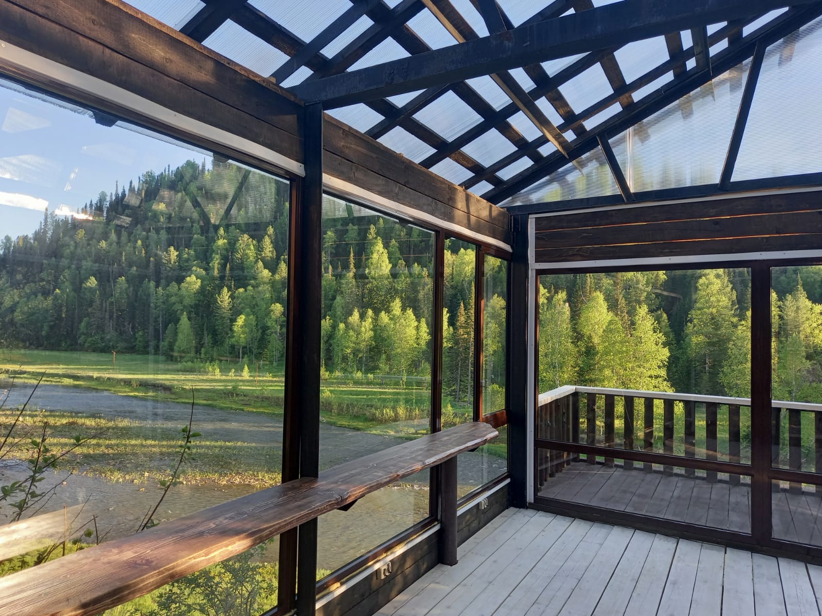 Фото Золотая сова