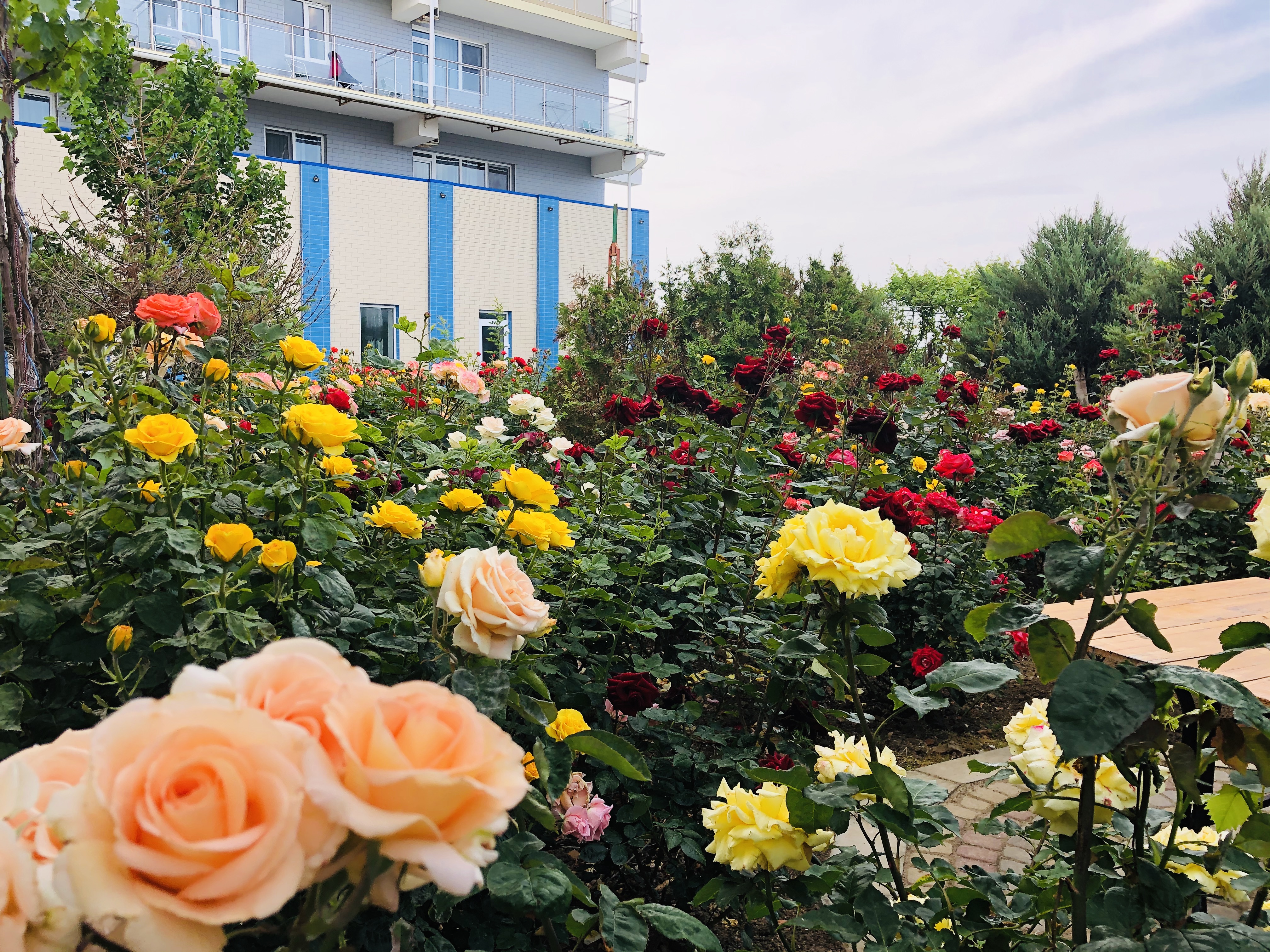 Фото Уют Тамани