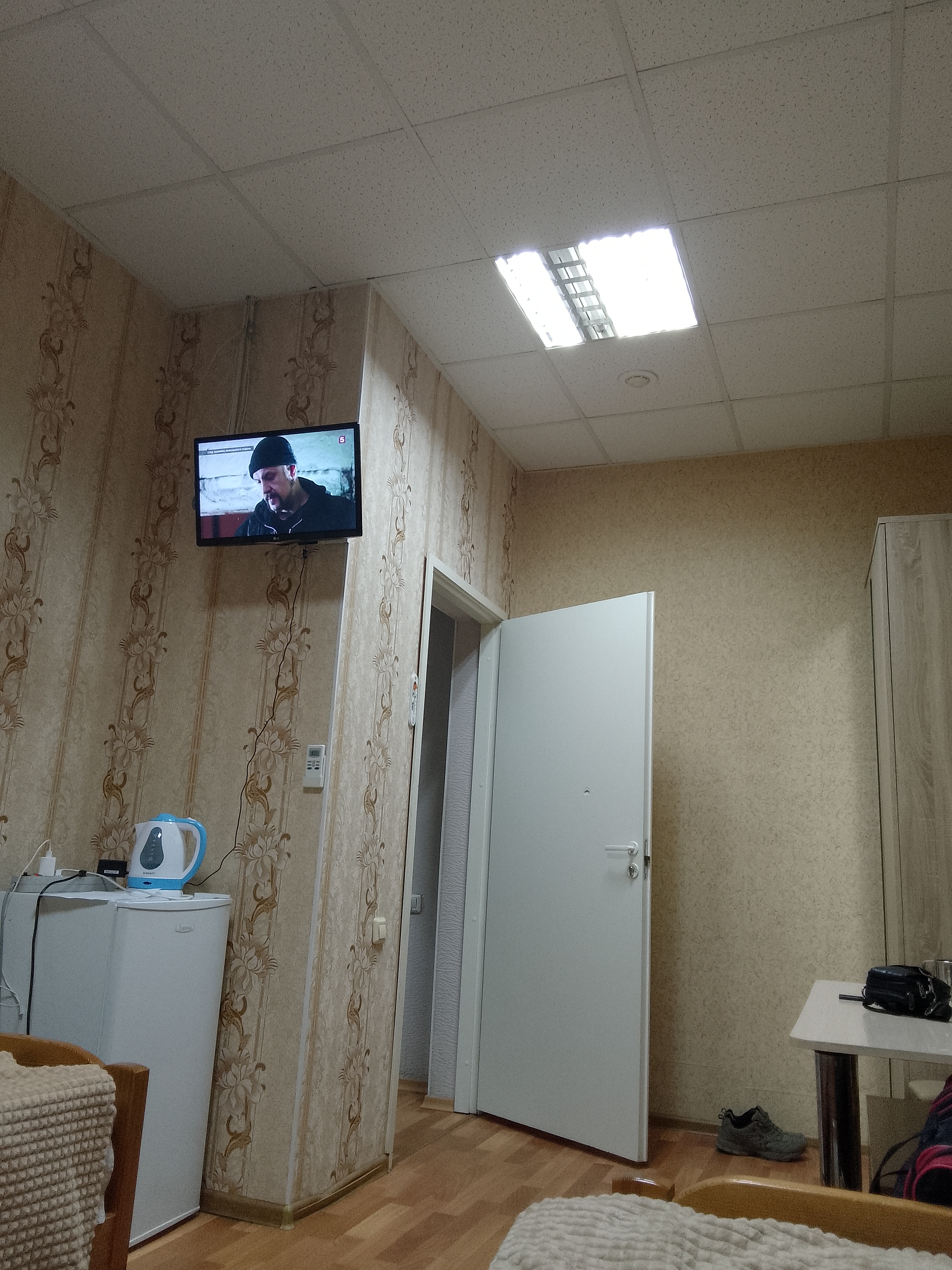 Фото Ромашка