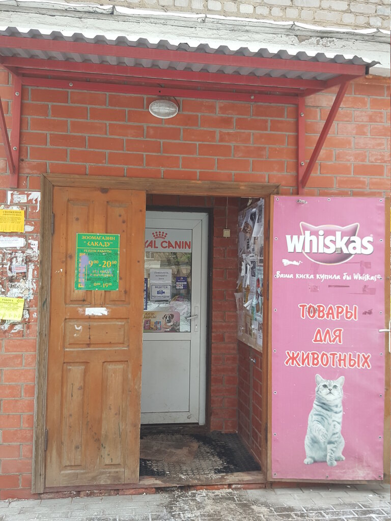 Какаду, зоомагазин, ул. Войкова, 14, Наро-Фоминск - Яндекс Карты