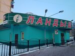 Landysh (Kosmonavtov Street, 24), grocery