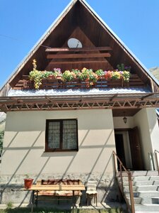 �������� - ���������