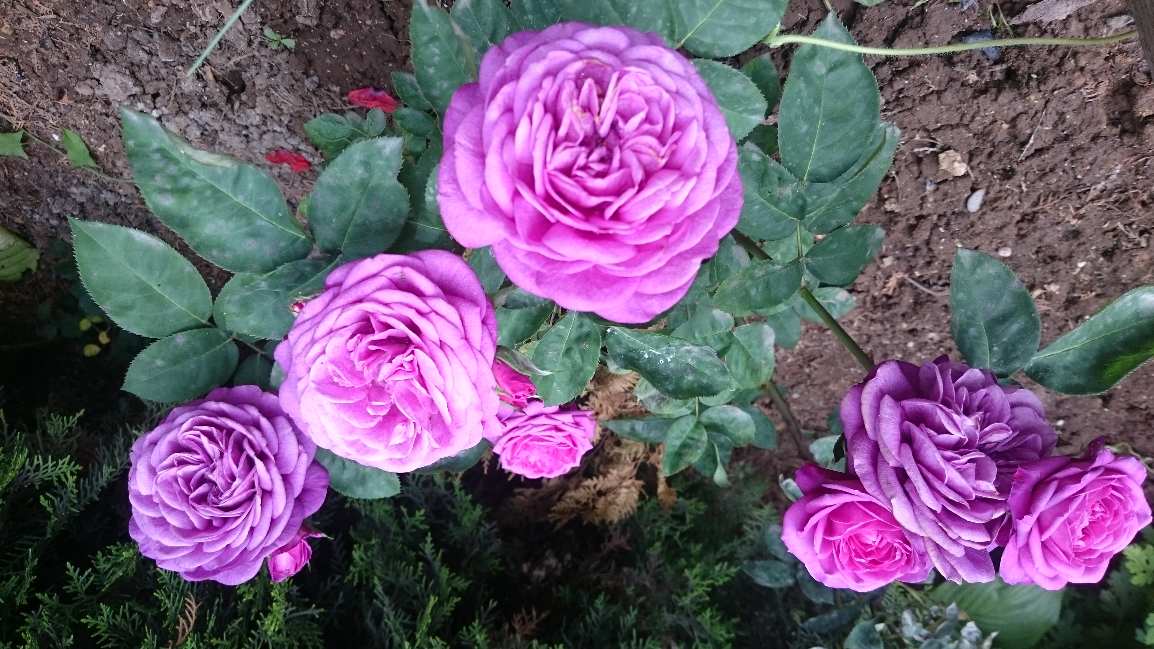 Фото ТО, что надо!