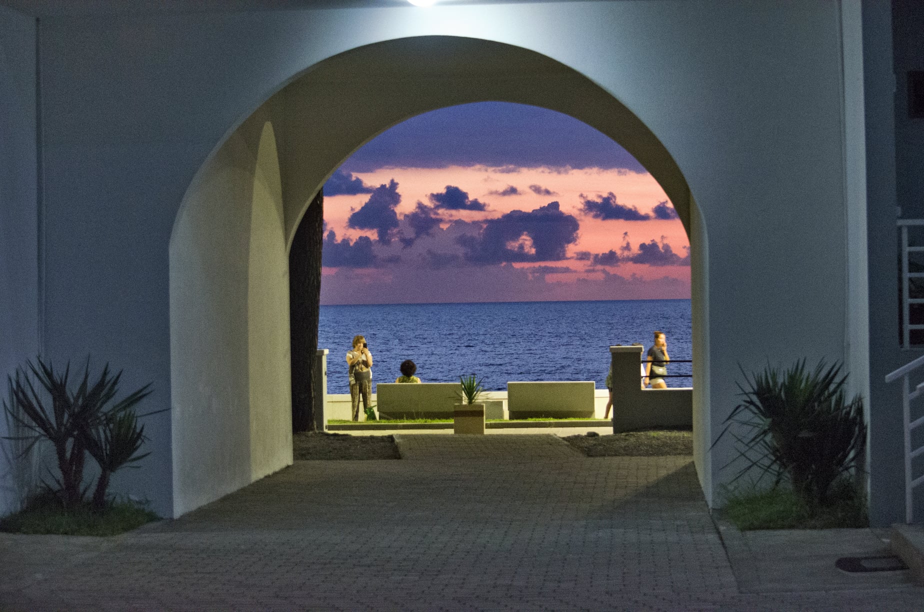 Фото Hotel Medusa