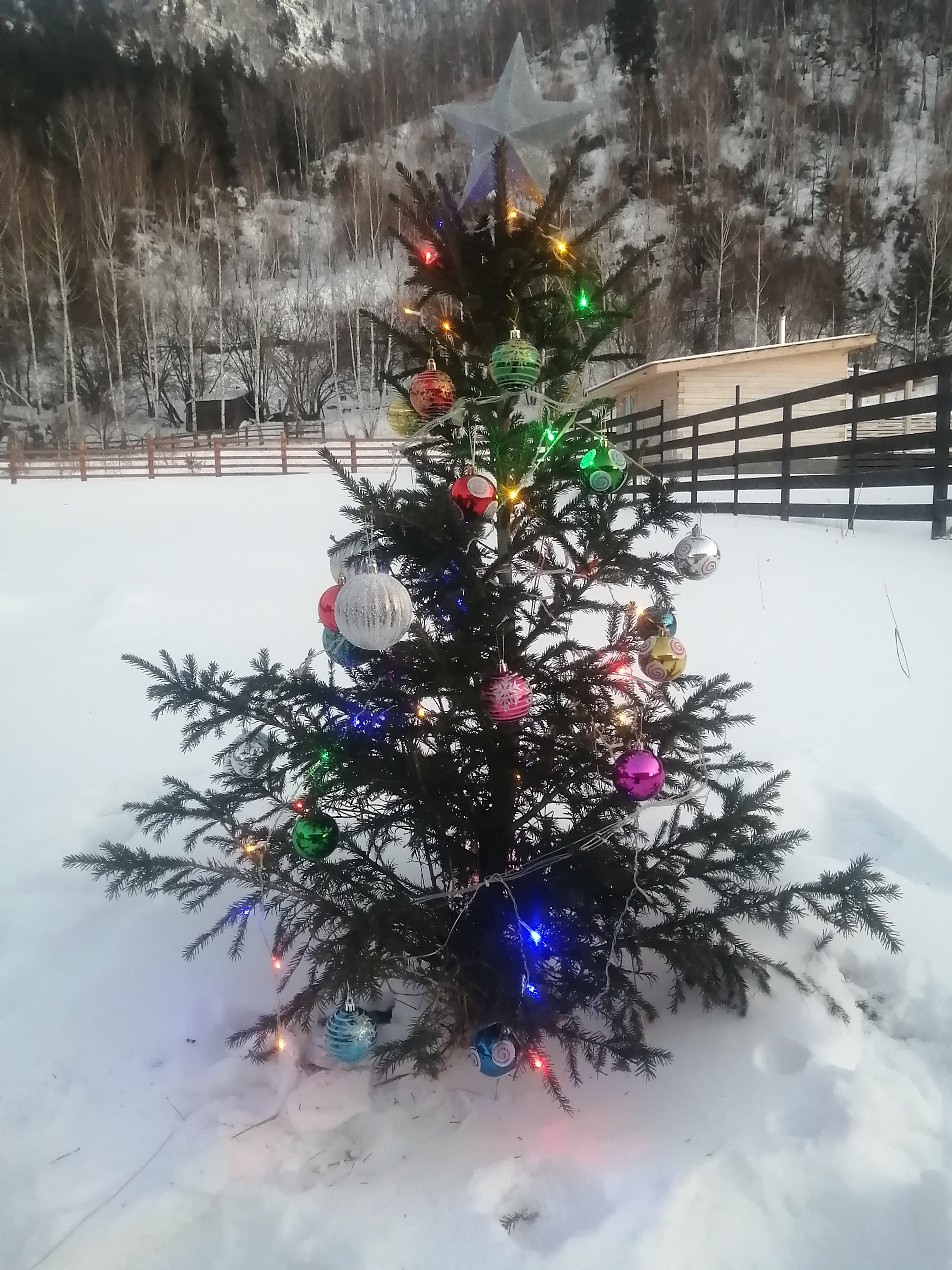 Фото Усадьба Чикмаревых