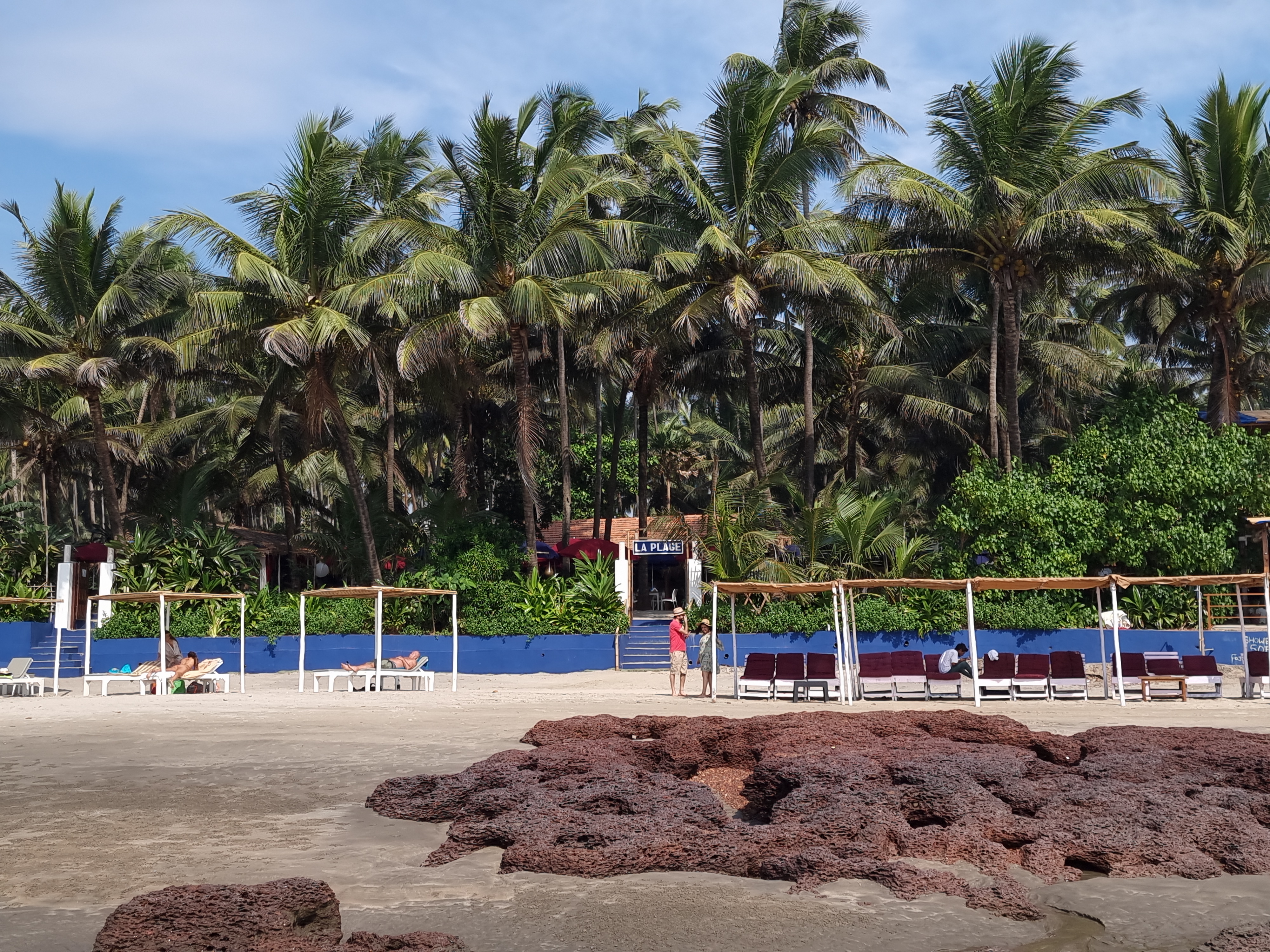 Фото The Acacia Morjim