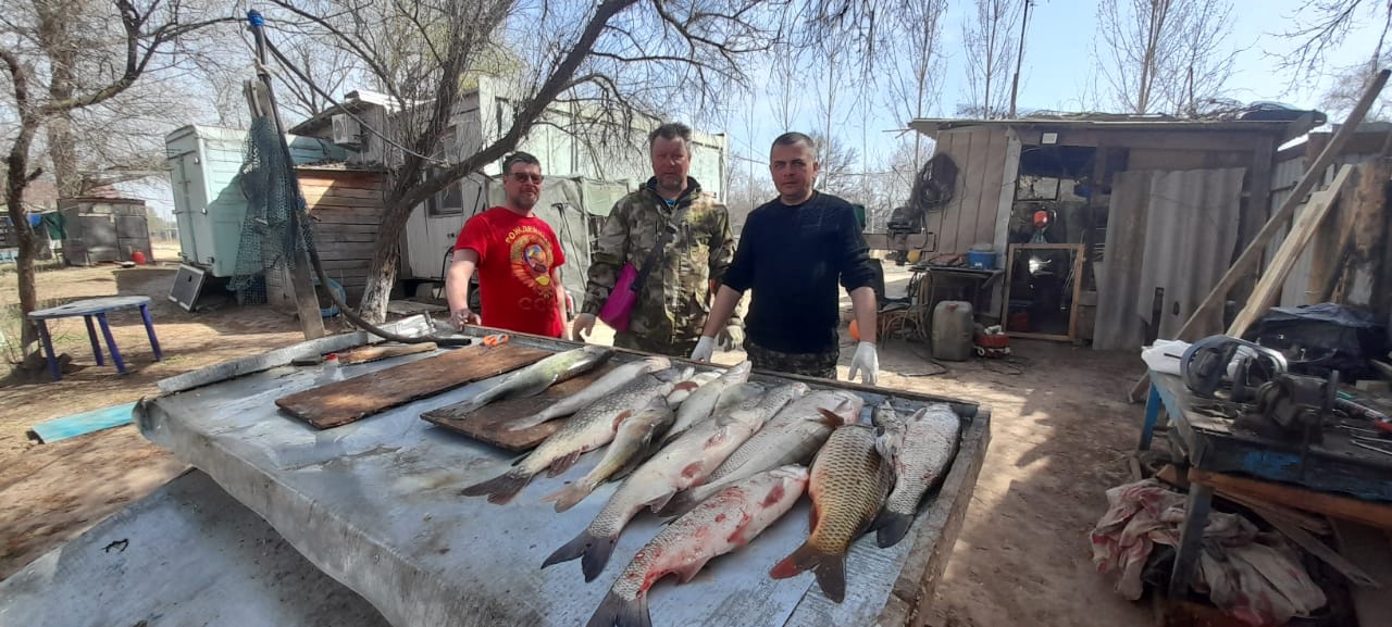 Фото Камышовый рай