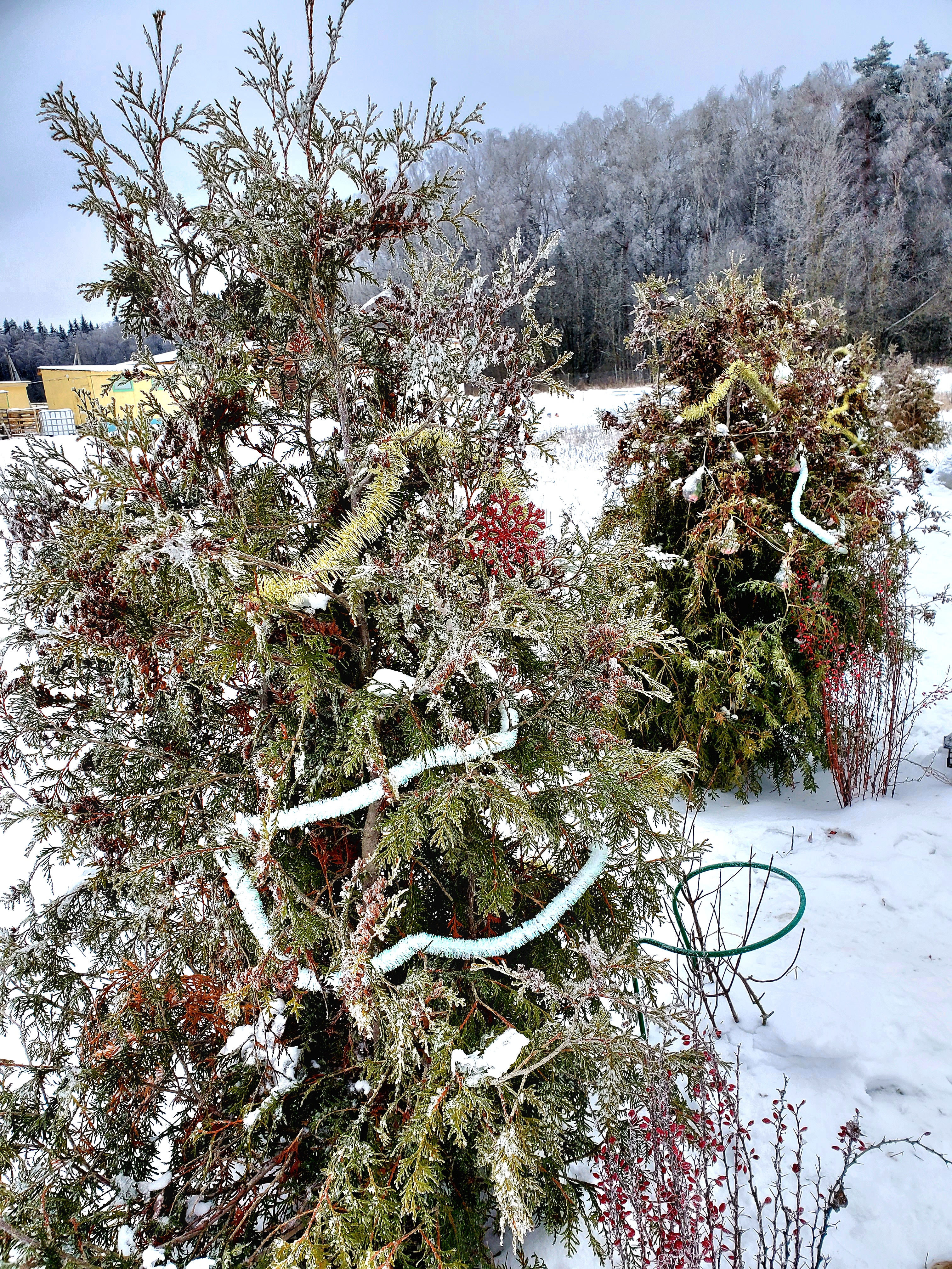 Фото Семейная экоферма