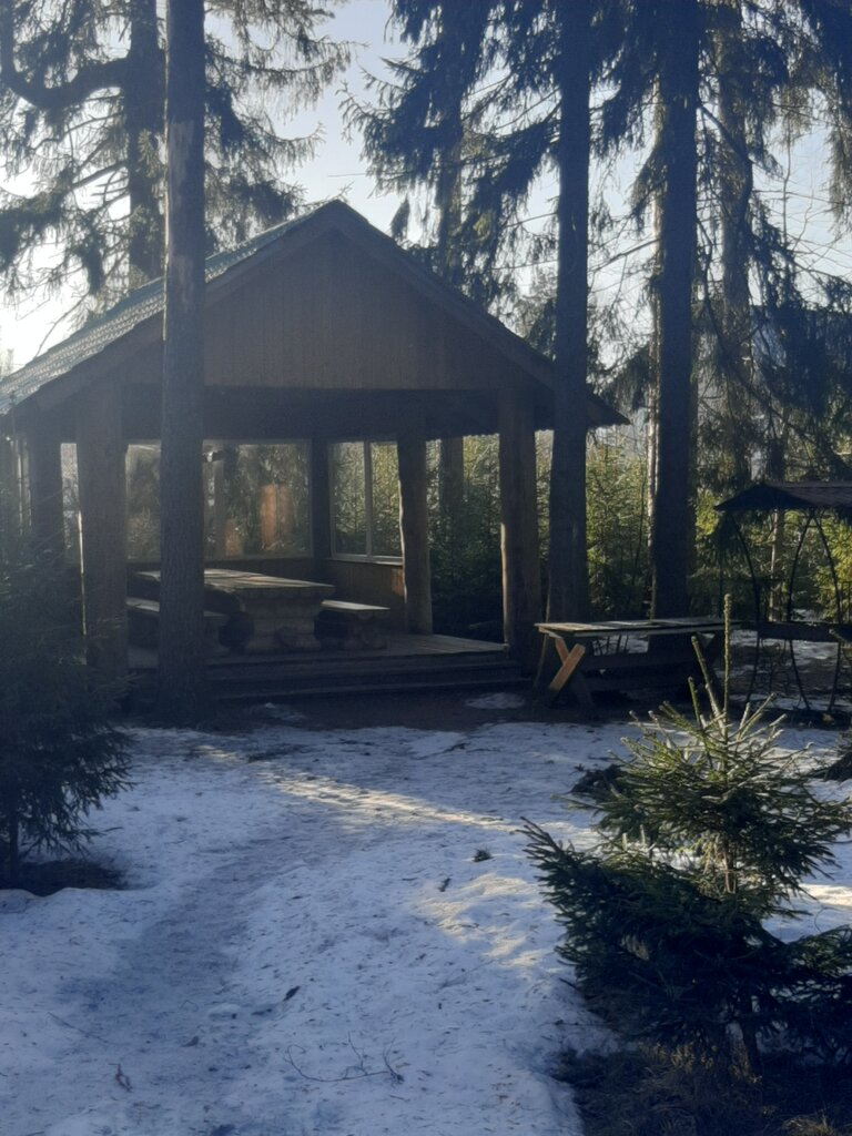 Парк культуры и отдыха парк Кенша, Всеволожск, фото