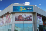 Fast Zone SPA (7, 3 Street, Dubai Investments Park 1, Jebel Ali, Dubai), spa