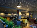 Inside lounge hookah (ulitsa Chkalova, 27), bar de cachimbas