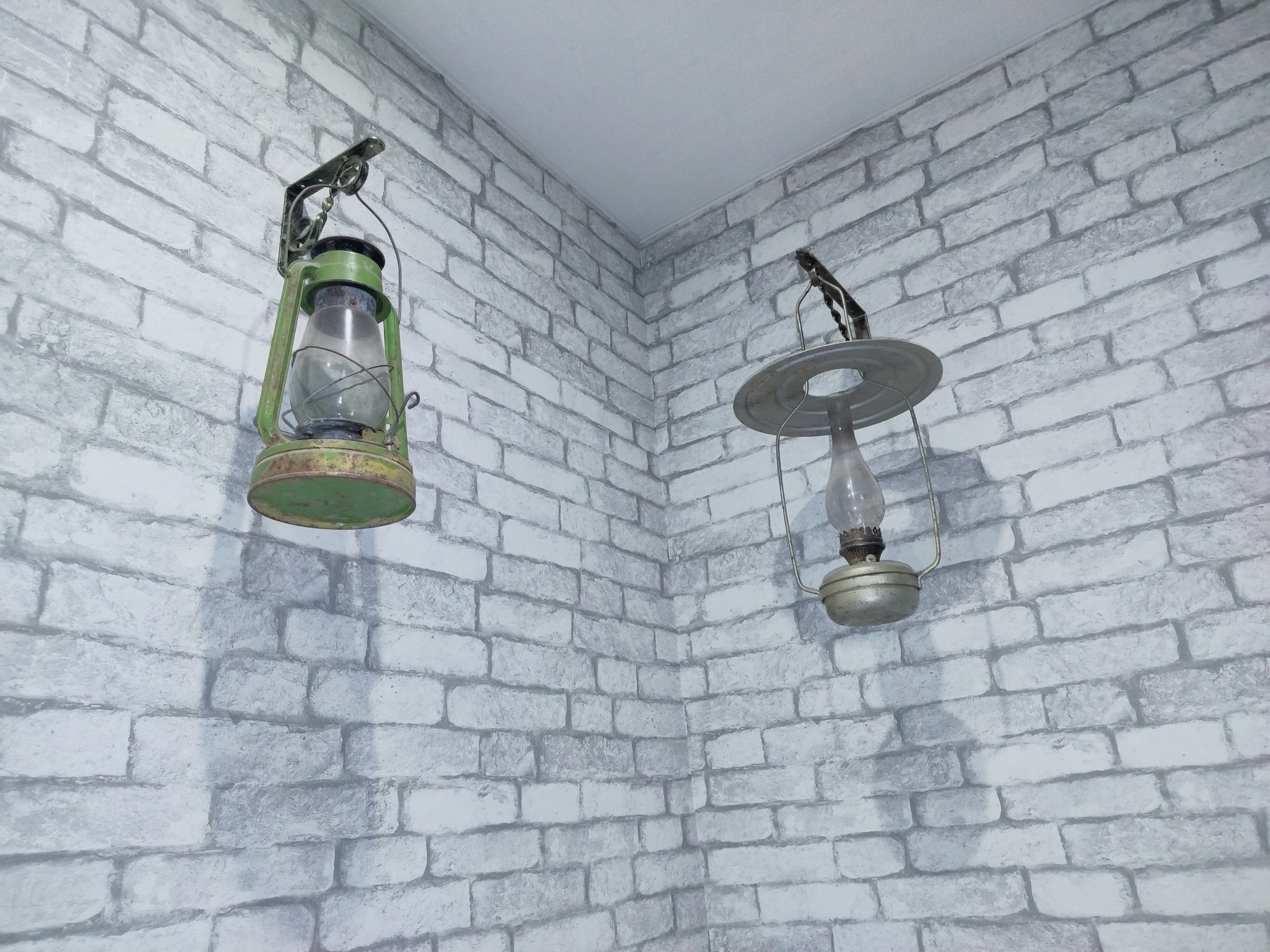 Фото Эдельвейс