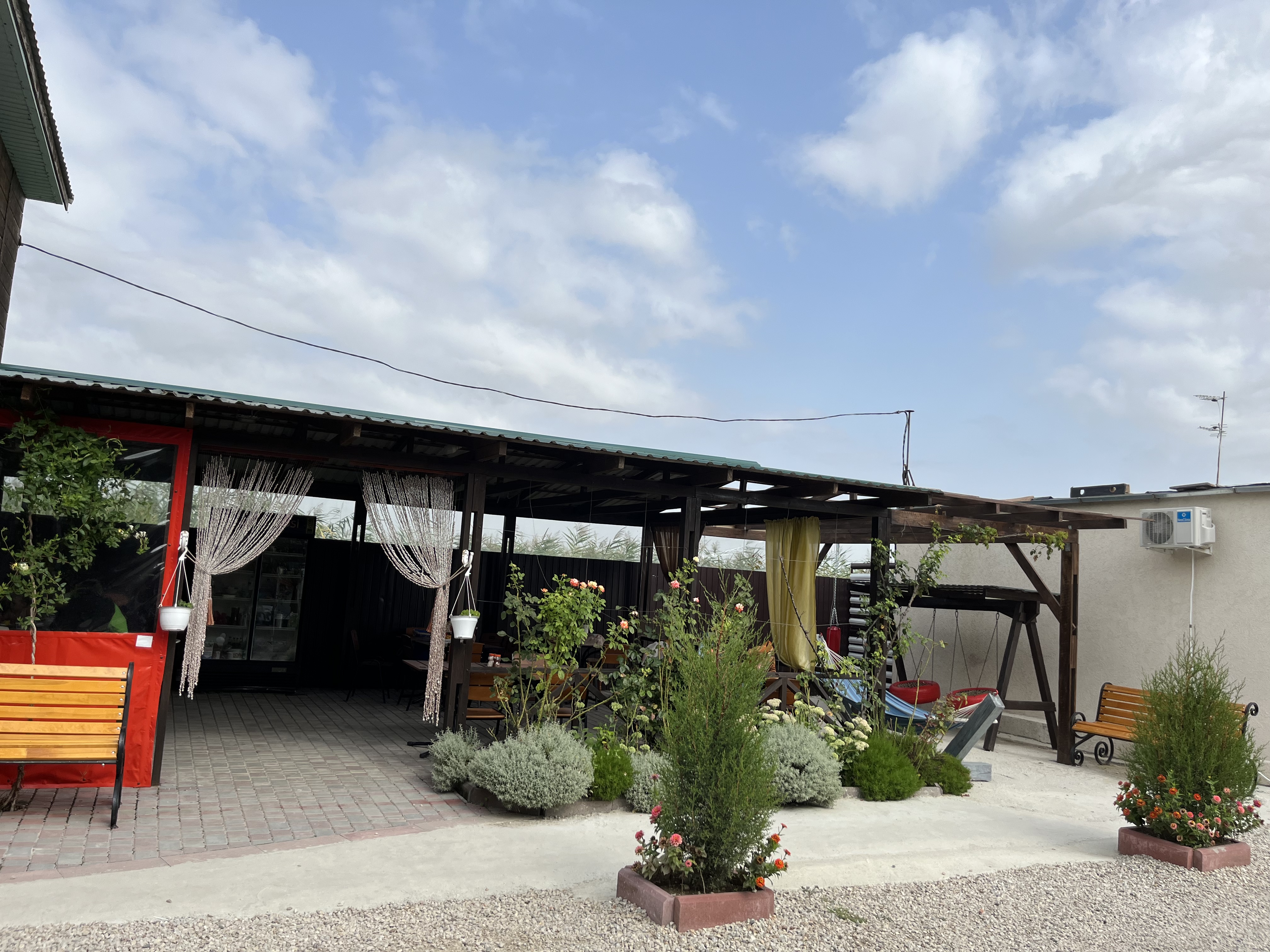 Фото Хороший гость