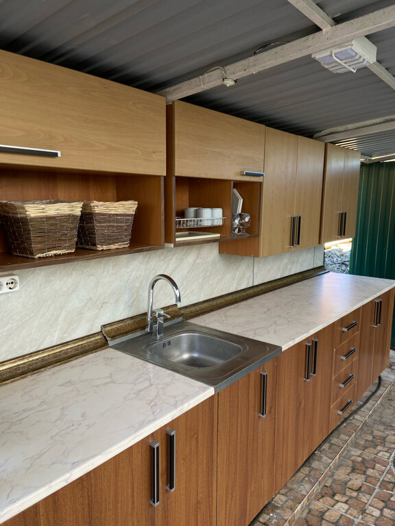 Фото Дельфин