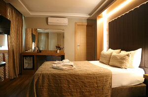Gümüş Palas Hotel (İstanbul, Gaziosmanpaşa, Merkez Mah., Ali Galip Bey Cad., 20), hotel