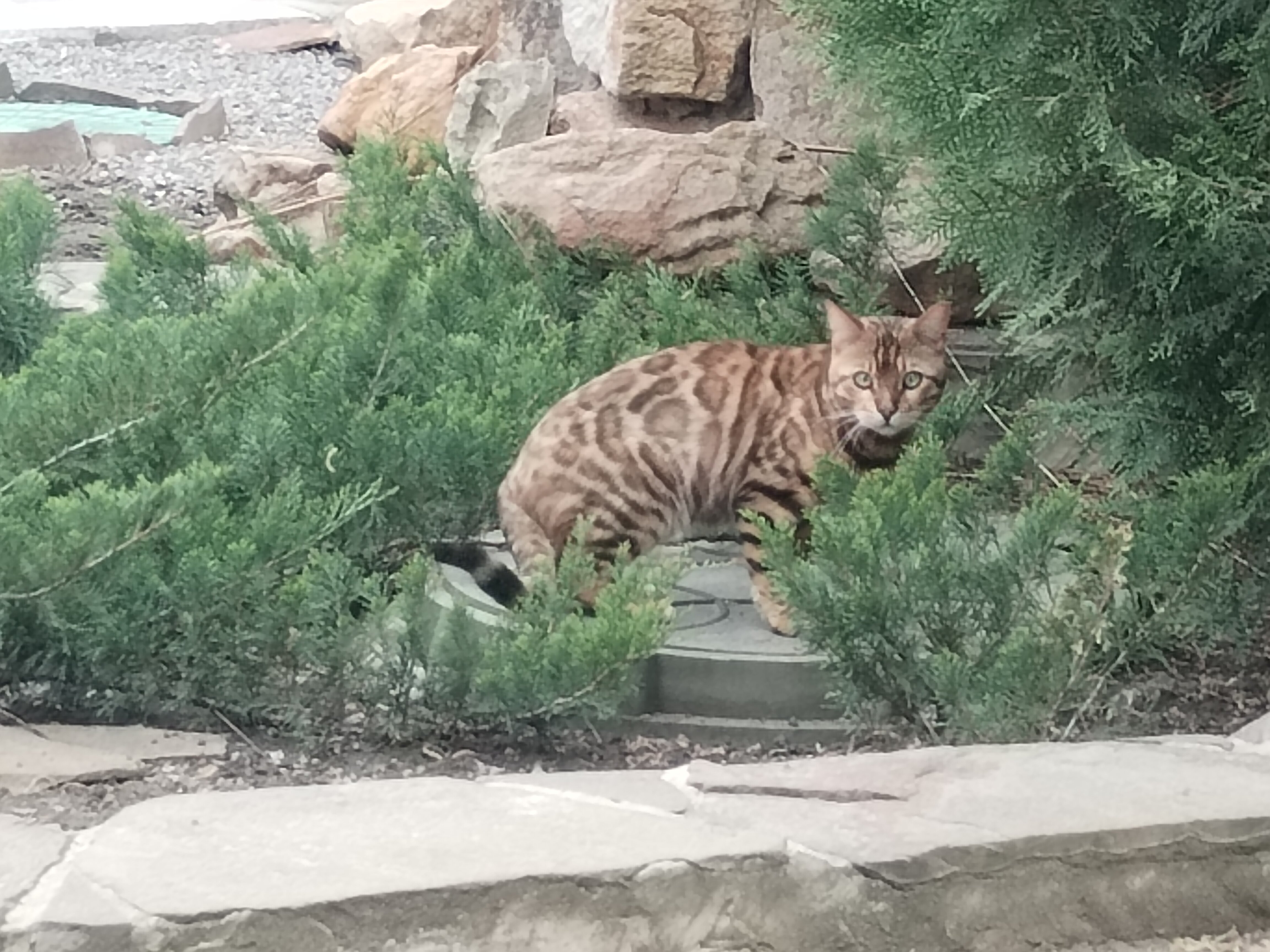 Фото Солнечная