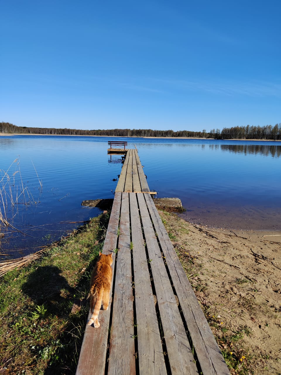 Фото Павловская Усадьба