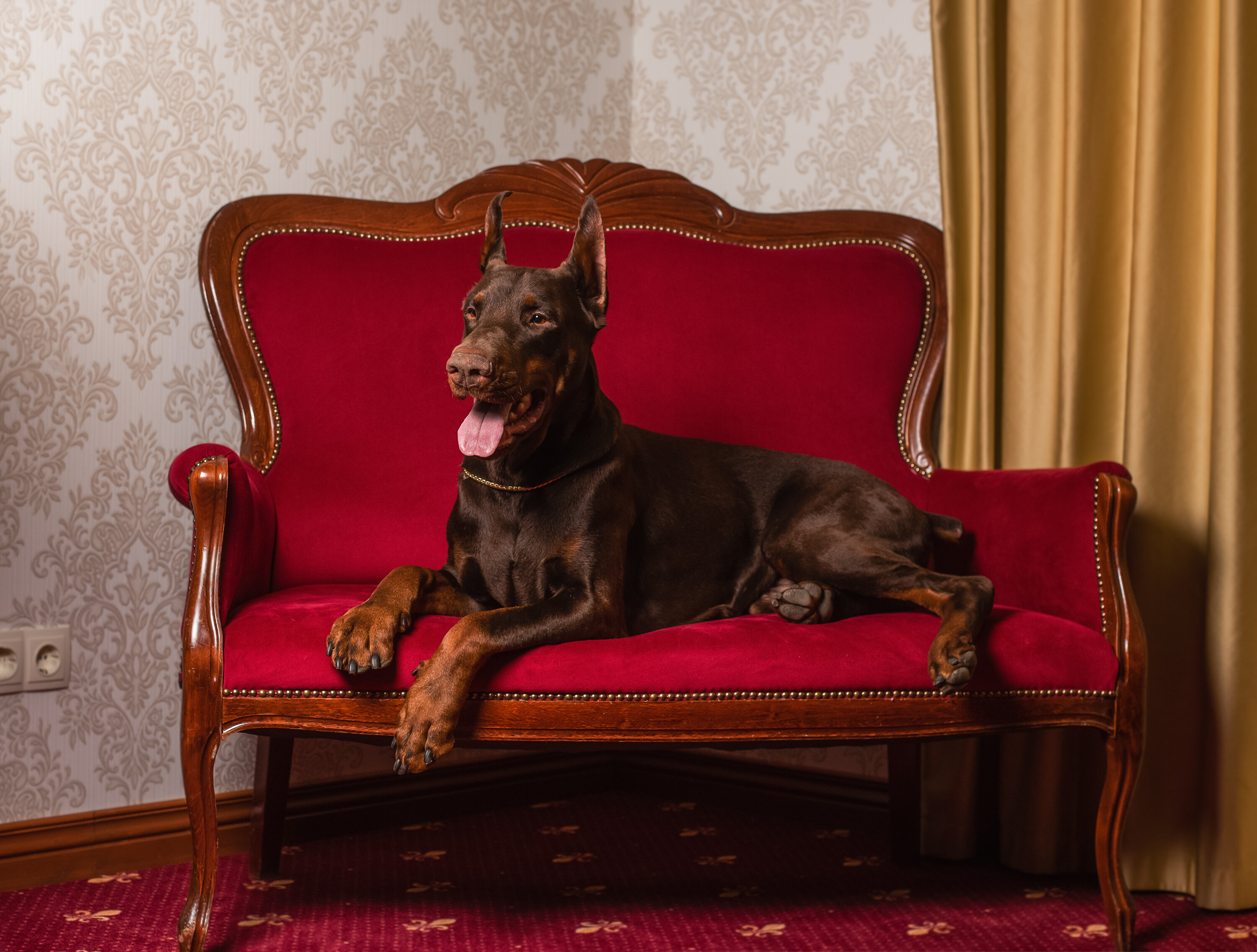 Фото Северная