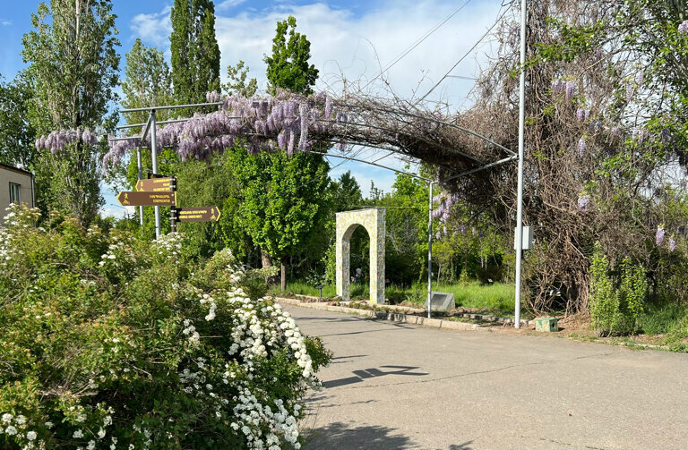 Park Yerevan Botanical Garden, Yerevan, photo