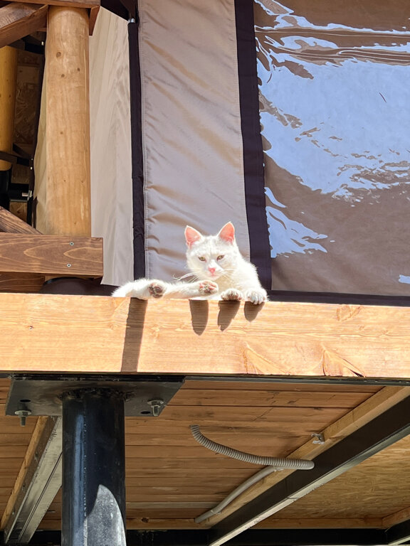 Фото Рамина Гуниб