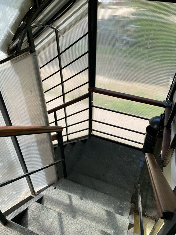 Фото Альгиз