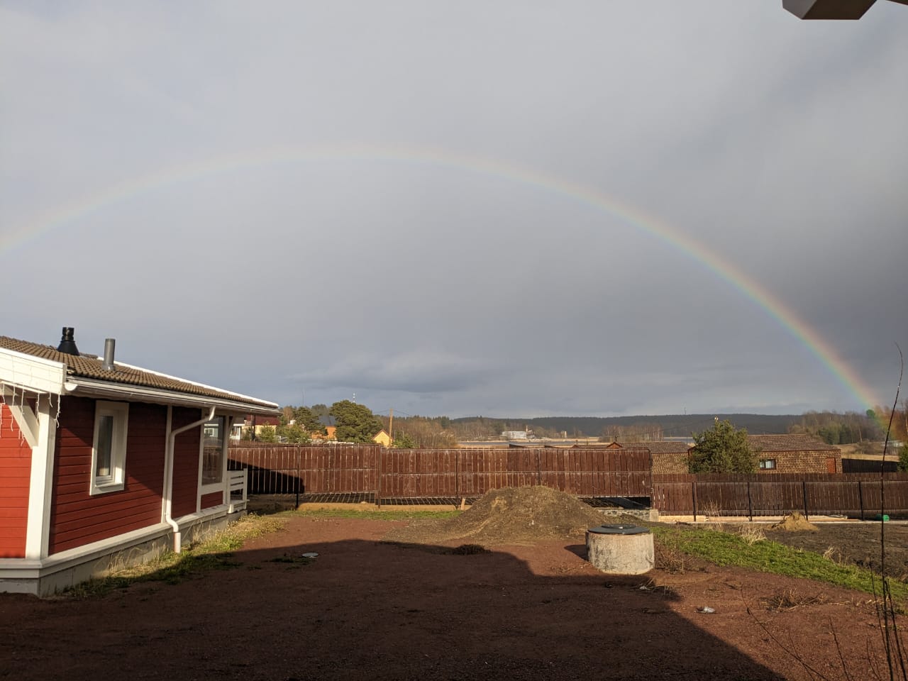 Фото Клюква