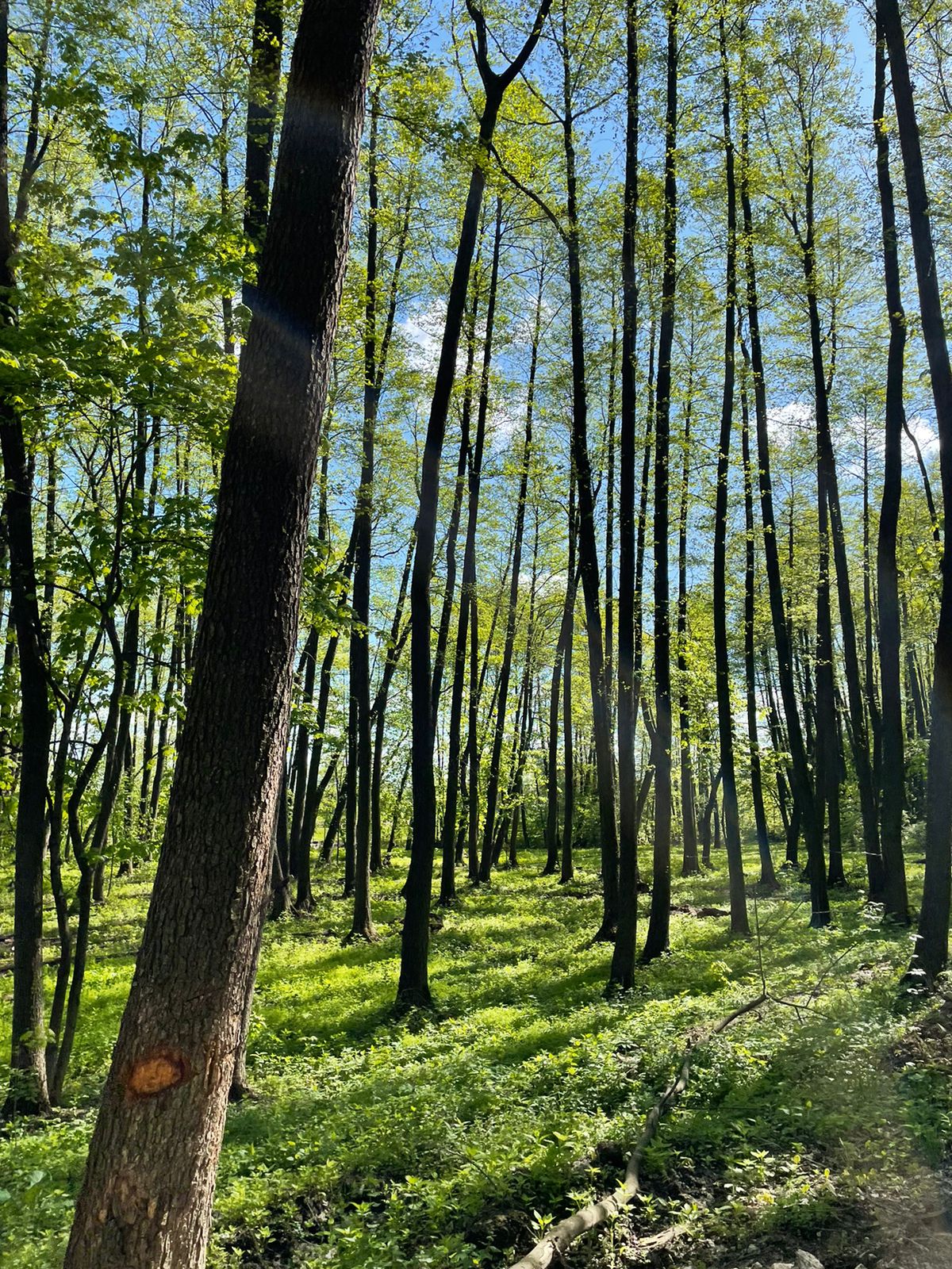 Фото Окское экохозяйство