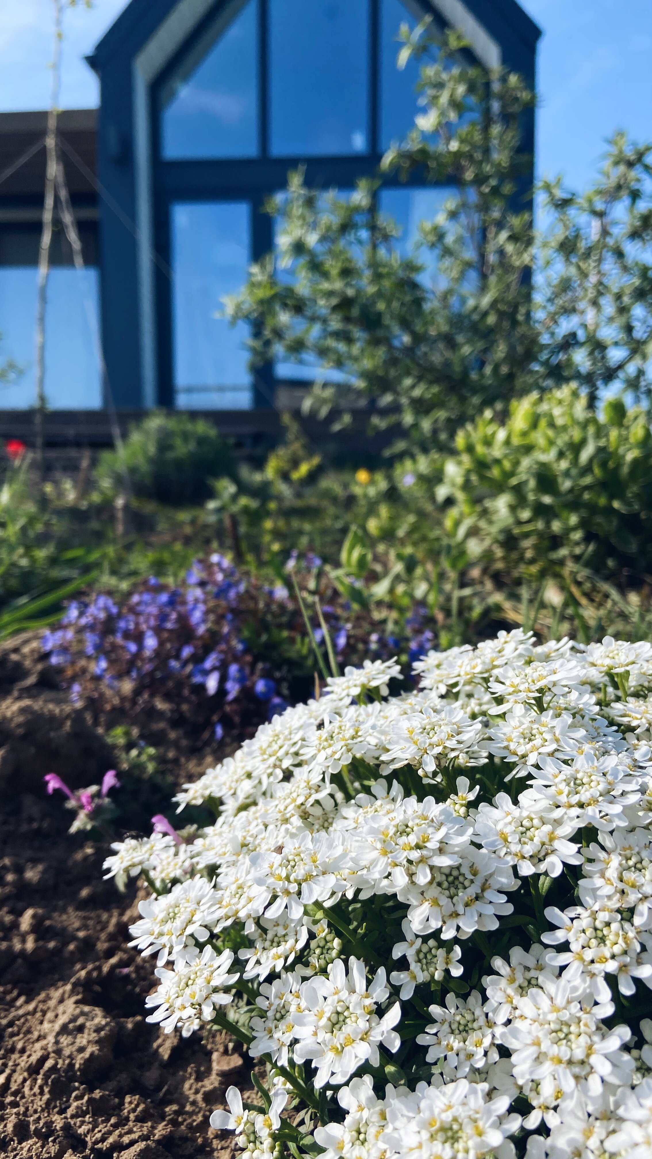 Фото Villa Surf Dacha