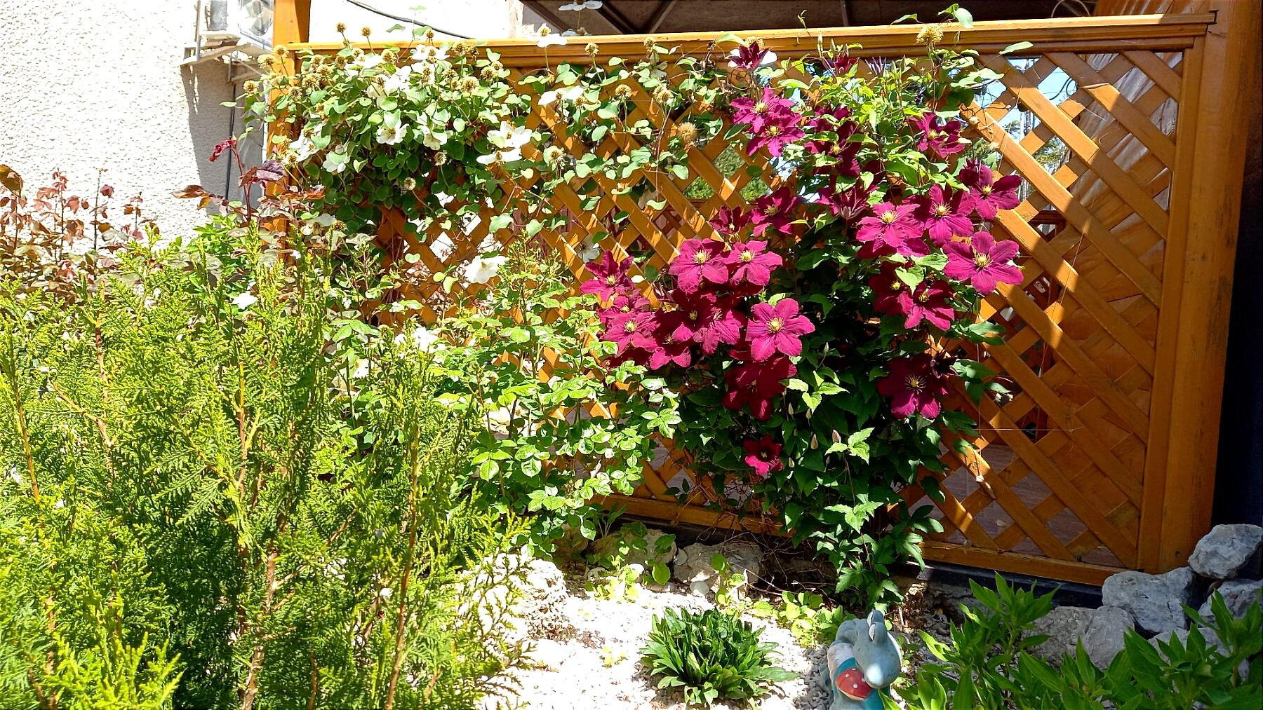 Фото Белый парус