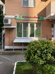 Узнавайка (Zapadniy City administrative district, Kozhevennaya ulitsa, 64), children's developmental center