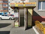Мелодия (Mira Avenue, 30), peluquería