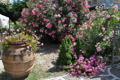 Фото Hotel Esedra