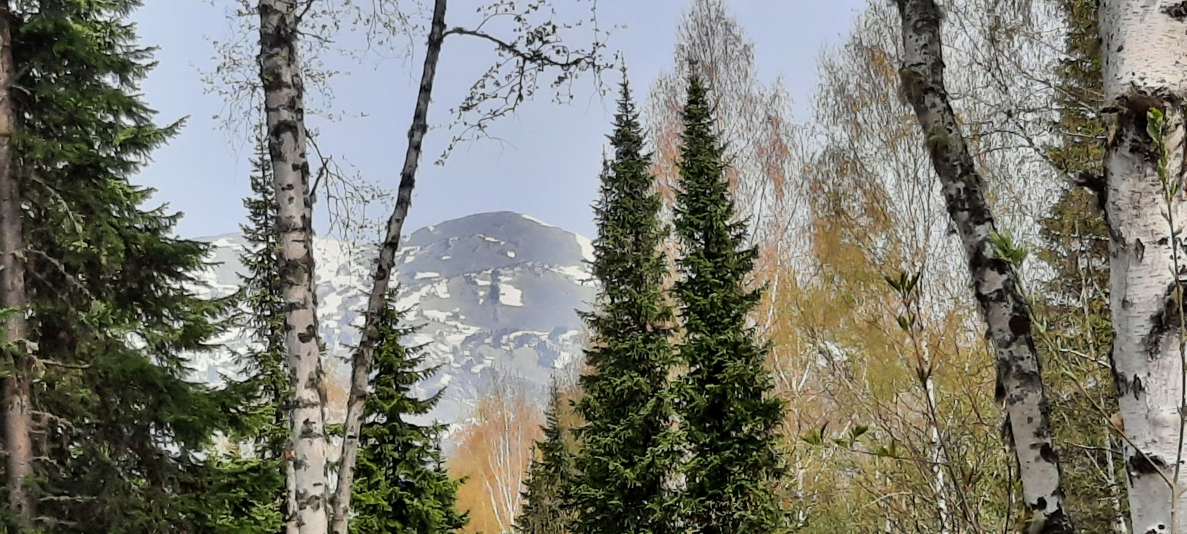 Фото Гринберг