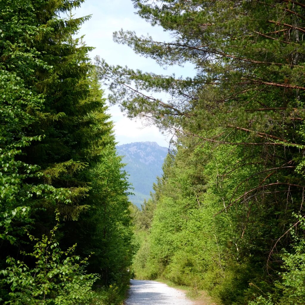 Urban forest Taganay National Park, Chelyabinsk Oblast, photo