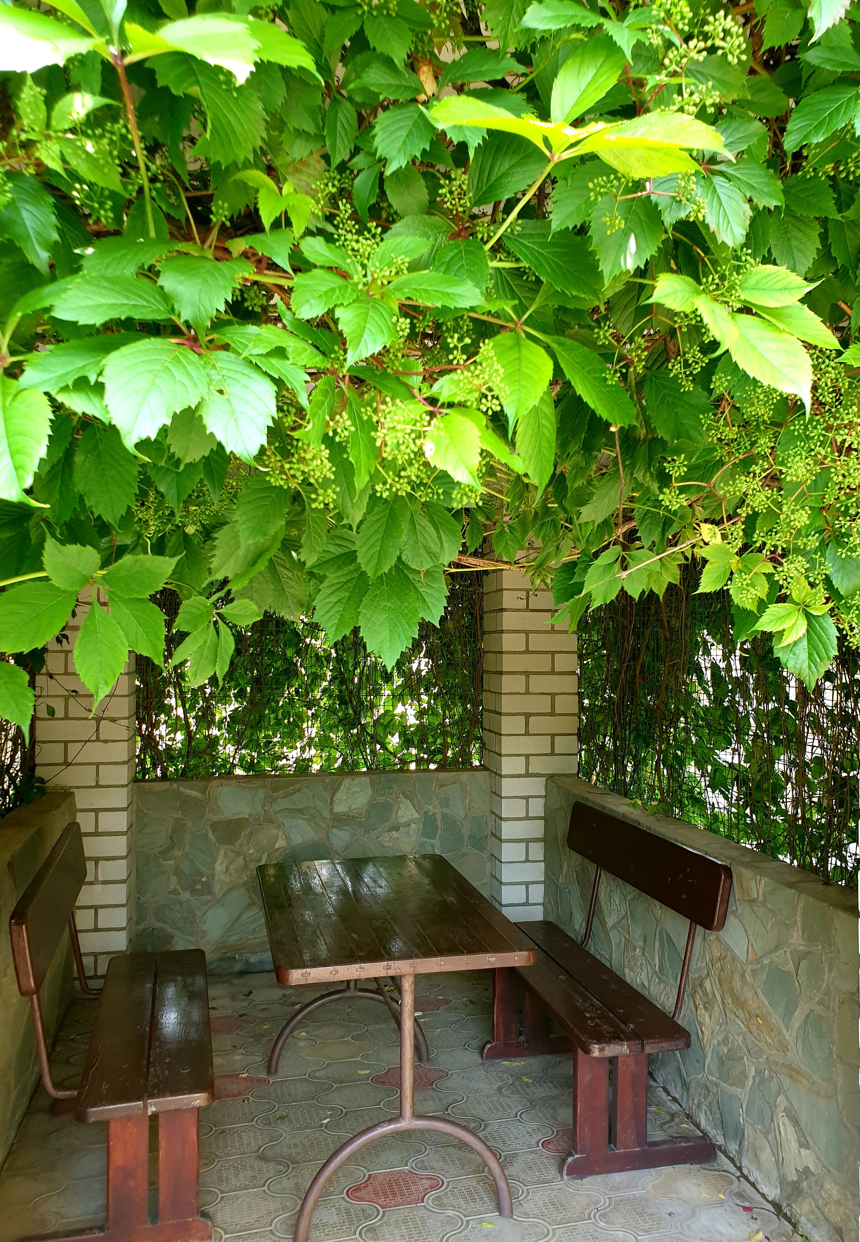 Фото Тихая гавань