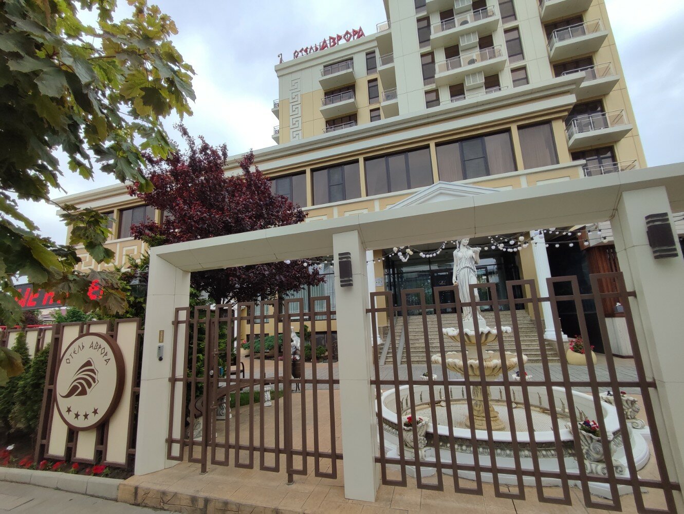 Фото Аврора