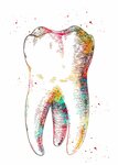 Dentin (Budyonnovskiy Avenue, 68/81), dental clinic