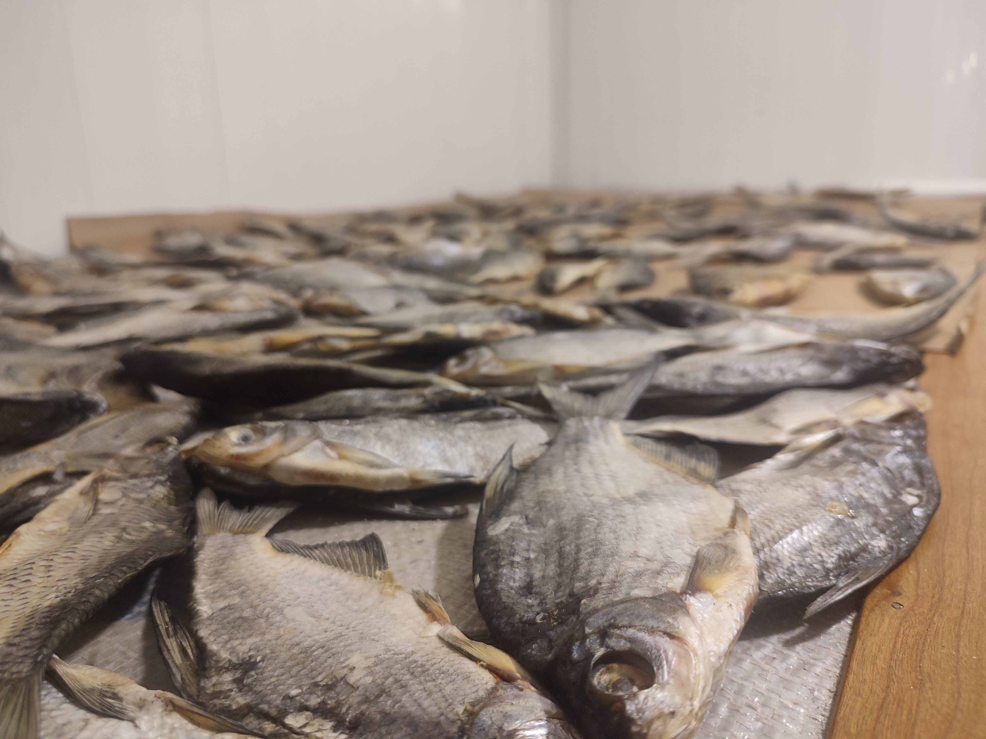 Фото Рыбацкие просторы