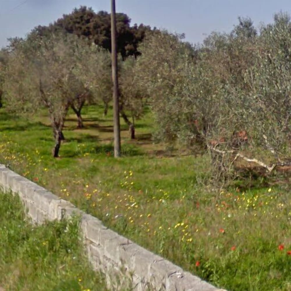 Фото Hotel Le Muse